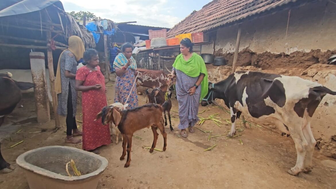 சுய தொழிலில் ஈடுபட்டிருக்கும் தன்னம்பிக்கை திருநங்கைகள்