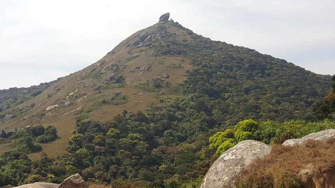 வெள்ளியங்கிரி மலைக்கு பாதயாத்திரை சென்ற இளைஞர் உயிரிழப்பு