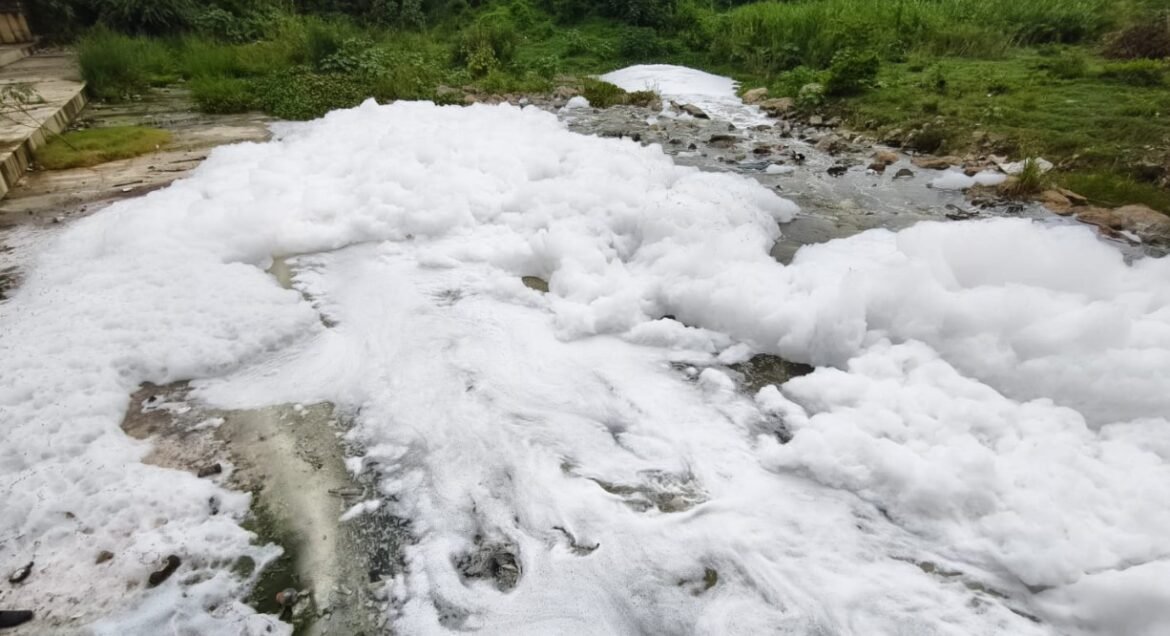 கோவையில் நொய்யல் ஆற்றில் கலந்த சாயப்பட்டறை கழிவுகள்