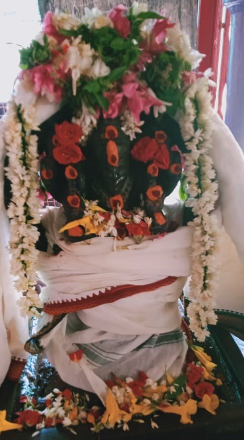 சுவாதி நட்சத்திரம், நரசிம்மருக்கு சிறப்பு அபிஷேகம்