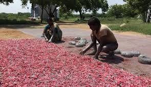 அரசு ரூ.10லட்சம் நிவாரணம் வழங்குமா? விருதுநகர் அருகே பட்டாசு ஆலையில் விபத்து – 2 பேர் பலி!