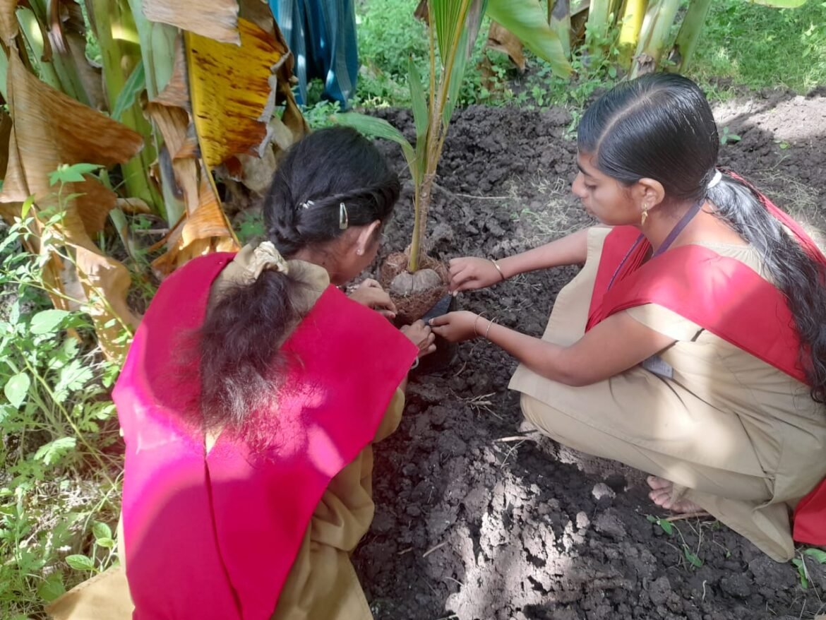 சோழவந்தான் அருகே காந்திகிராம மாணவிகள் விவசாய நிலத்தில் நடவு செய்தனர்…!