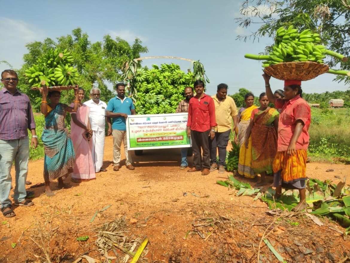 தேசிய வேளாண் நிறுவனம் செய்து கொடுத்தஒப்பந்தத்தின் அடிப்படையில் விளைபொருட்கள் கொள்முதல் செய்யப்பட்டது…..