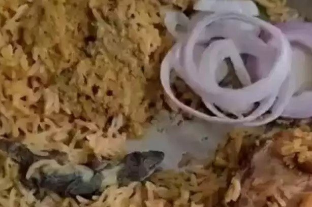 பிரியாணியில் பல்லி – ஒரே குடும்பத்தை சேர்ந்த 6 பேர் மருத்துவமனையில் அனுமதி