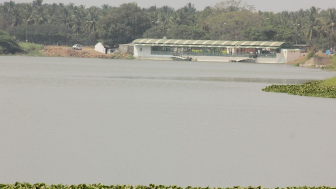 Farmers demand to drain the sewage water of Singanallur pond