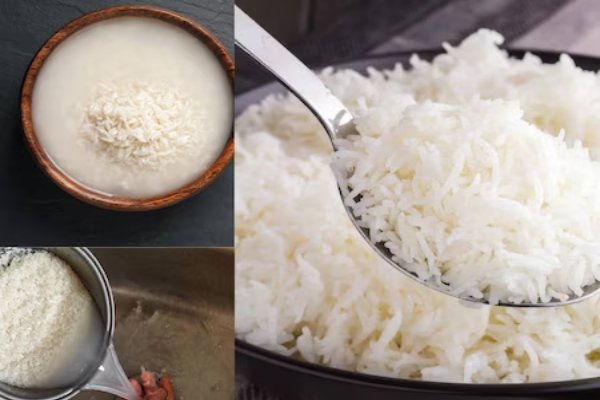 தண்ணீரில் ஊற வச்சால் சாதமாகும் மாய அரிசி… பாலக்காட்டில் விளைகிறது