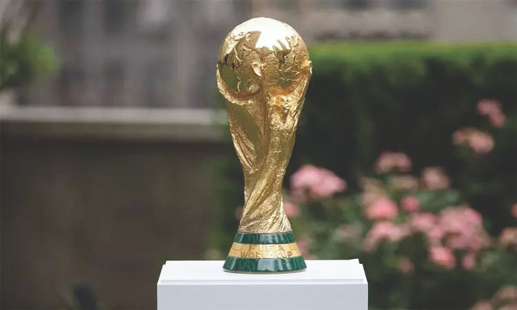fifa world cup