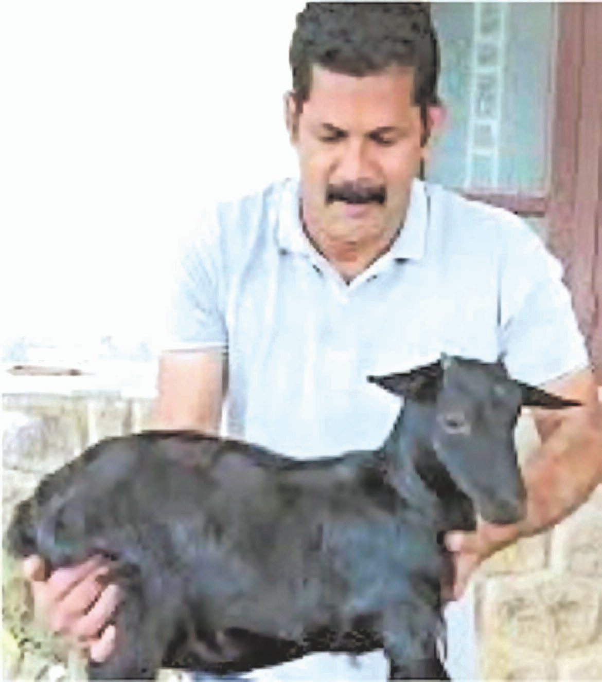 உலகிலேயே மிகச்சிறிய ஆடாக அங்கீகாரம் பெற்ற கொங்கு நாட்டின் ‘கரும்பி’