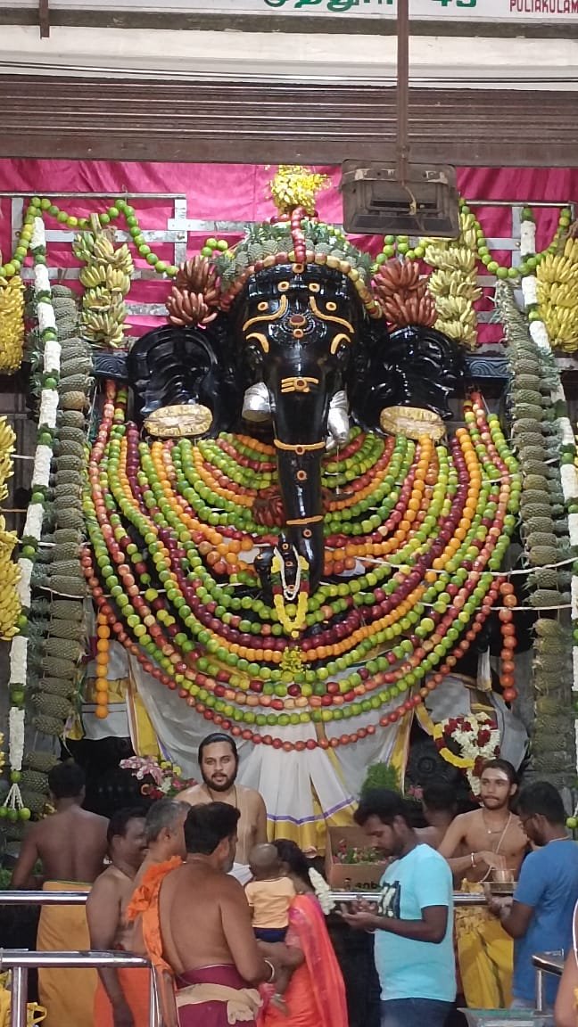 இரண்டு டன் எடையுடைய பழங்களால் அலங்கரிக்கப்பட்ட புலியகுளம் முந்தி விநாயகர்