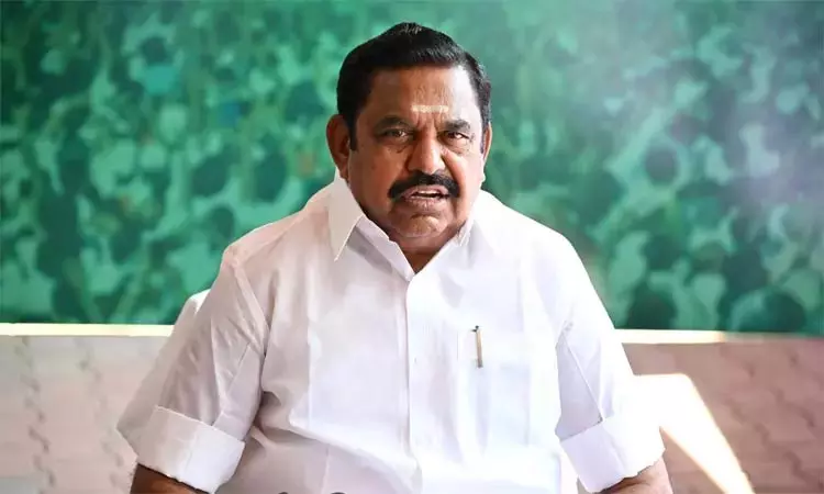 ‘நெல் முளைத்தாலே அது , வீண்தானே ‘- எம்.ஆர்.கே பன்னீர்செல்வத்துக்கு எடப்பாடி பழனிச்சாமி பதில்