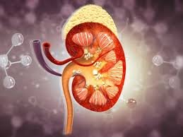 சிறுநீரகங்களை ஆரோக்கியமாக வைத்திருக்க இதை செய்யுங்கள்